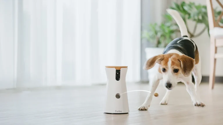 I Tested 5 Best Pet Cameras Over 3 Months. Here Is the True 12 Month Cost for Each.